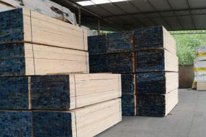 江苏太仓建筑木方木材加工厂高清图片
