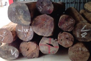 收藏极品老挝大红酸枝原木和方木,新料和老料各半图1