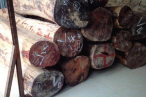 收藏极品老挝大红酸枝原木和方木,新料和老料各半图2