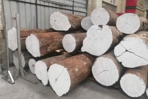 亚马逊花梨原木实物高清图片