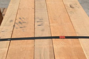 北美樱桃木板材海关拍卖低价