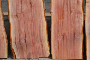 香椿木是几等木材?香椿木烘干板材做家具的优点有哪些？