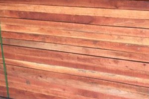 香椿木板材与香椿木烘干板高清图片