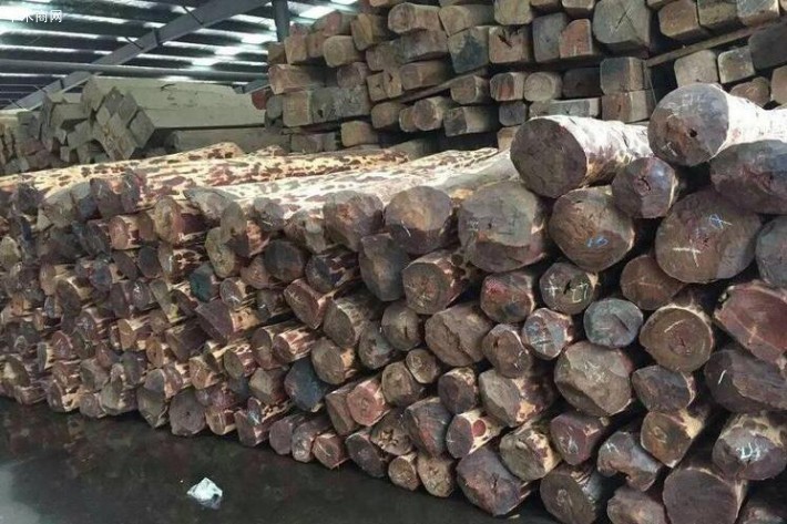 赞比亚血檀原木厂家直径20-30长度2米-3米