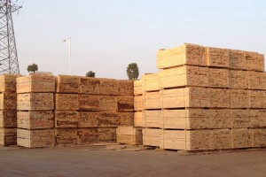 东莞建筑木方生产厂家批发价格
