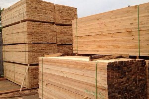 蒙古国原木板材70%依赖进口