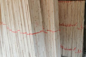 桂林保利木材加工厂香杉木拼板板芯料高清图片