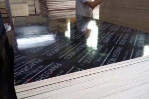 江苏庞氏集团建筑模板,塑面模板,覆膜板建筑模板高清图片