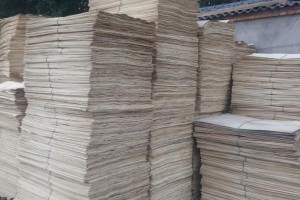 杨木单板四拼板皮生产厂家批发价格图3