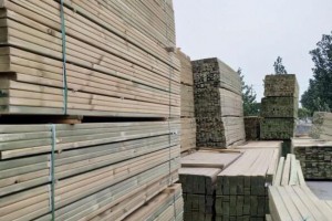 樟子松板材好不好?樟子松板材的优缺点有哪些?