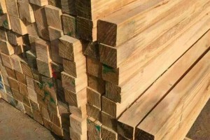 中国林产品公司加大澳洲材,南美材,北美木材的采购力度