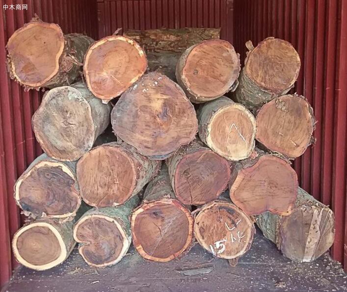中国林产品公司境外企业多措并举保障国家木材供应稳定
