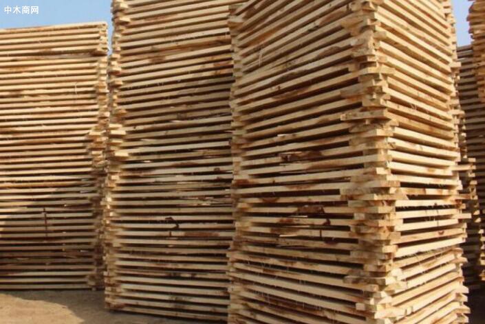 博达杨木板价格多少钱一方博达杨木板厂家批发价格是多少