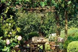 有一个庭院藤架,喝茶乘凉好地方!