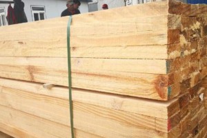 辐射松建筑木方生产厂家批发价格图3
