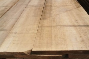 杨木毛枓,白杨木烘干板材厂家直销价位低
