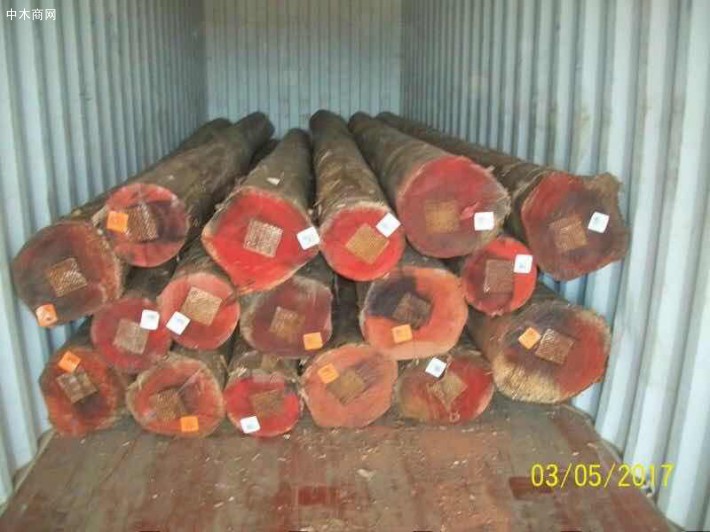 澳洲尤加利原木原产地直销价格