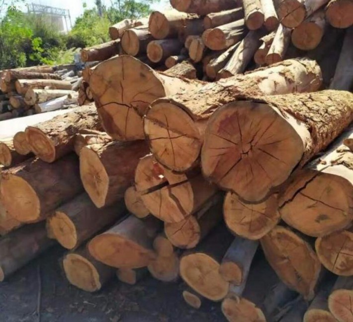 山杂木是什么木?木材中说的硬杂木指哪些木材价格