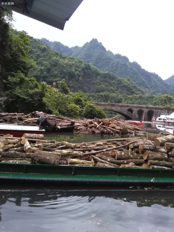 硬杂木原木原产地直销