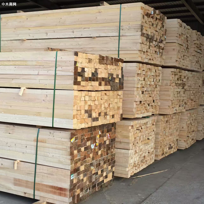 来宾到二塘镇开展木材加工产业调研活动