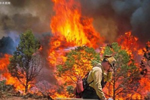 俄罗斯伊尔库茨克州两地因森林大火进入紧急状态