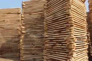 西北国际木材市场交易中心挂牌落成