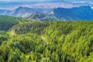 浙江省林业产业发展大会在杭州召开,对重点龙头企业进行了表彰