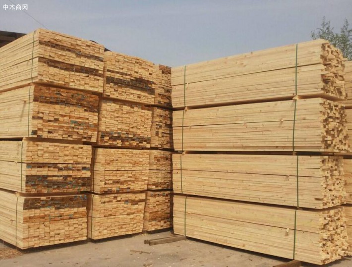 藤县举行中国东盟国际木材加工交易产业园项目正式签约