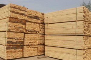藤县举行中国东盟国际木材加工交易产业园项目正式签约