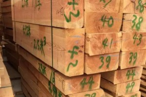 山东环森木业专业供应寿材板,可定制加工