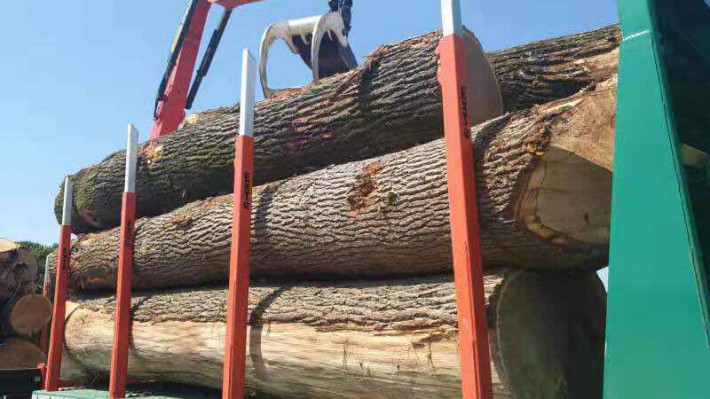新冠疫情对欧盟热带木材进口影响变化不大