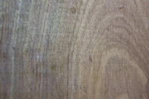 金车花梨木属于什么档次的木头?