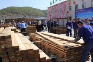 绥芬河市自贸区举行木材加工行业技能大赛