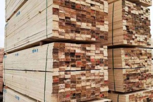 俄罗斯Santarin厂家直销松木毛边材,刨花材,包装材,地板