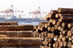 中国木材资源主要来源国有哪些？