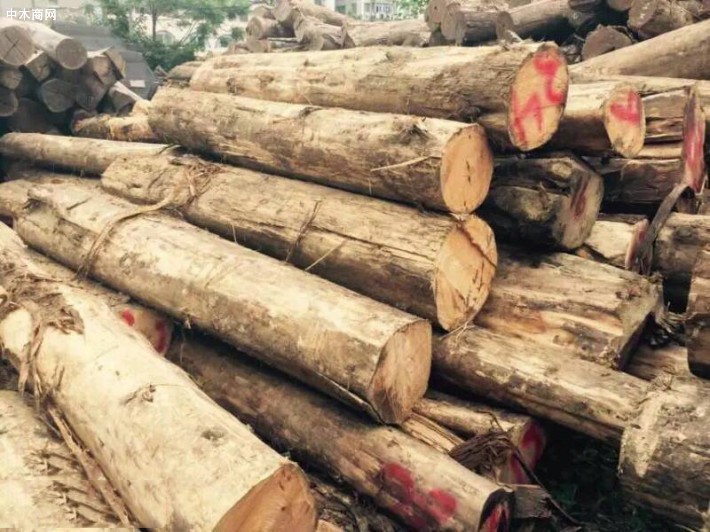 东北林产品国际木业中心建设高点起步
