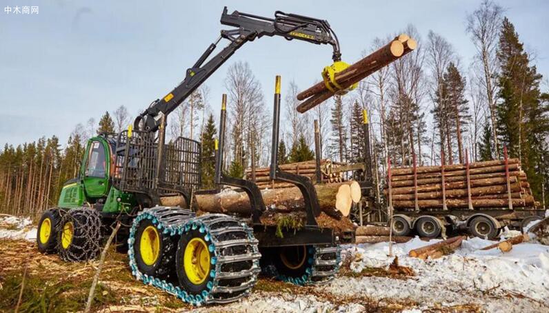 俄罗斯木材企业Segezha三季度营业收入达190亿卢布