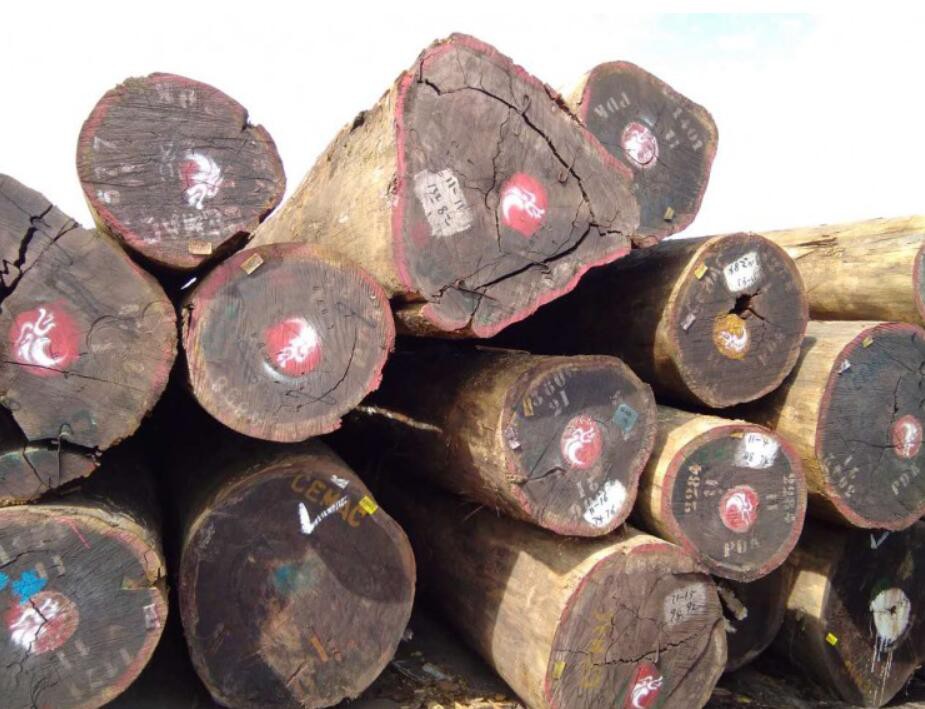 到2030年木材有可能在加蓬的经济中取代石油