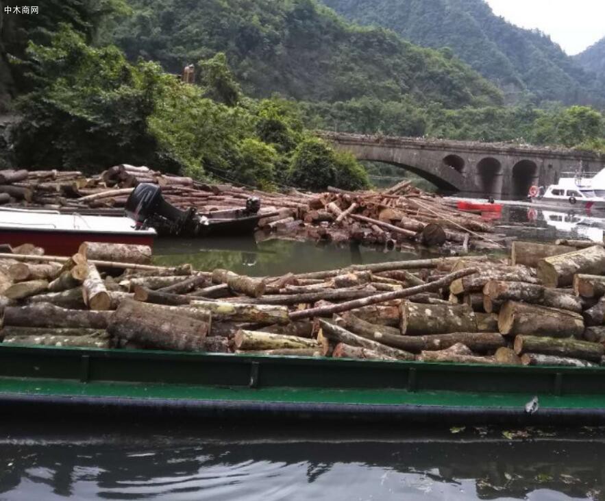 华东华南地区基建木材终端需求在年底仍具韧性