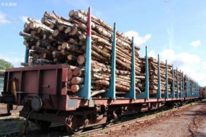 2021物流运输提前停运,木材商比较好提前准备