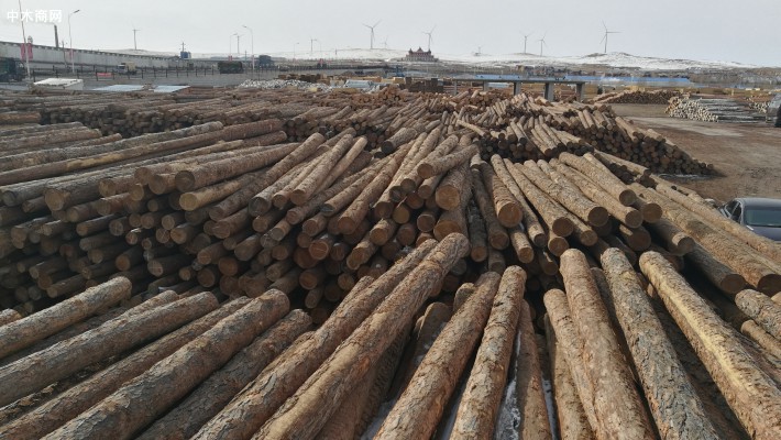 2020年俄罗斯木材和纸制品出口额减少了3.3%