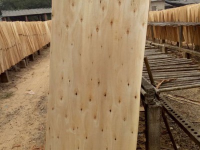 广西桉木旋切原木皮