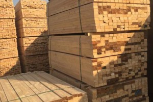 创秋木业采购一批新鲜原木,后续木方价钱持续上涨