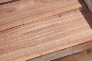 河南榆木板材有什么优点及价格?