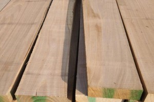 河南老榆木实木家具板材的优缺点及南榆木和北榆木的区别?