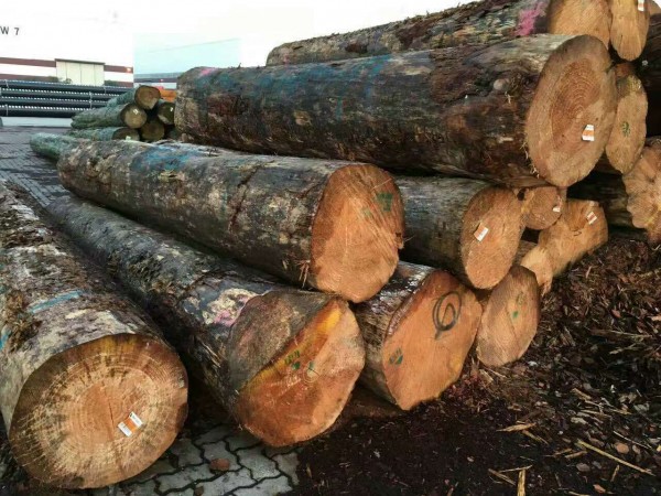 新西兰木材短缺加剧,建筑商恐面临破产风险