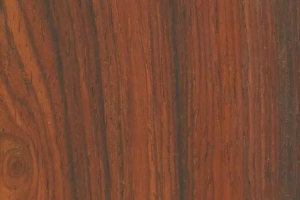 微凹黄檀木材的构造特征?