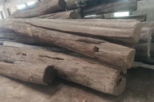 缅甸柚木原木板材高清图片