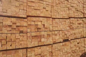 樟子松做防腐木材料的优势?
