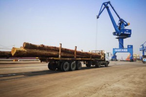 1-6月新民洲港木材出货量同比增长15.8%